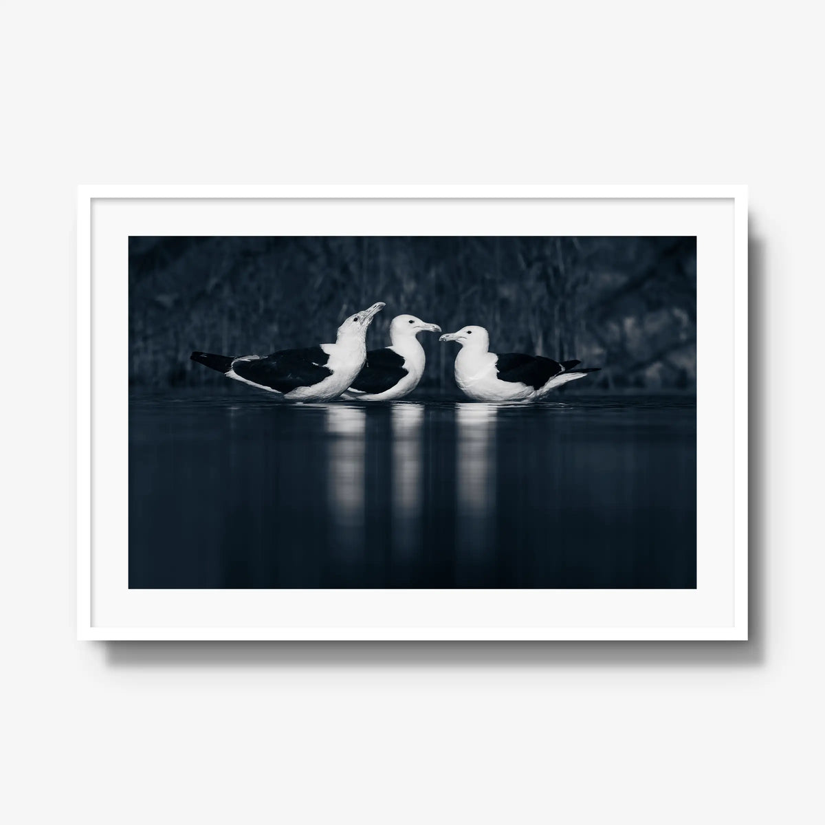 Nightwater trio — gallery / white / mat