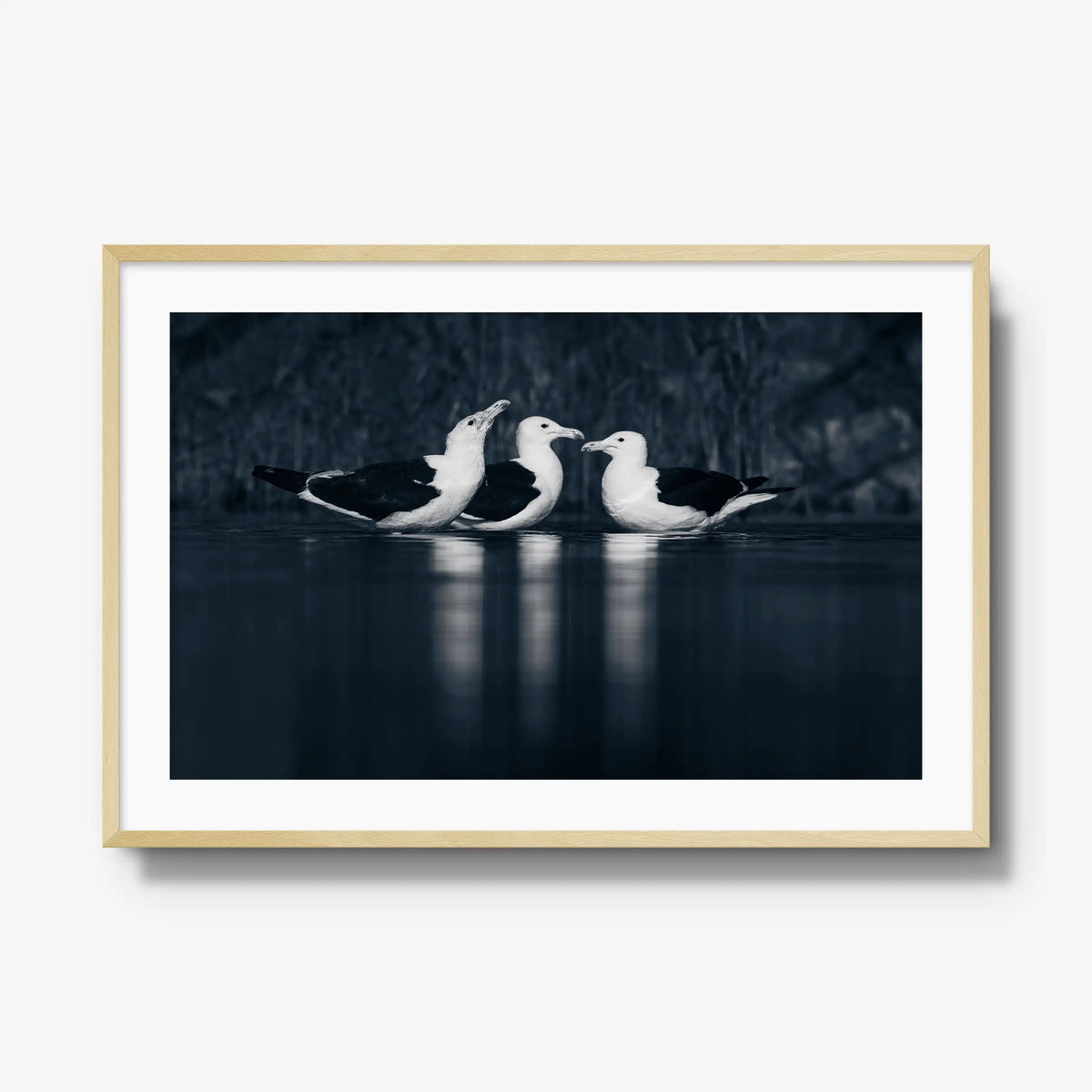 Nightwater trio — gallery / natural / mat