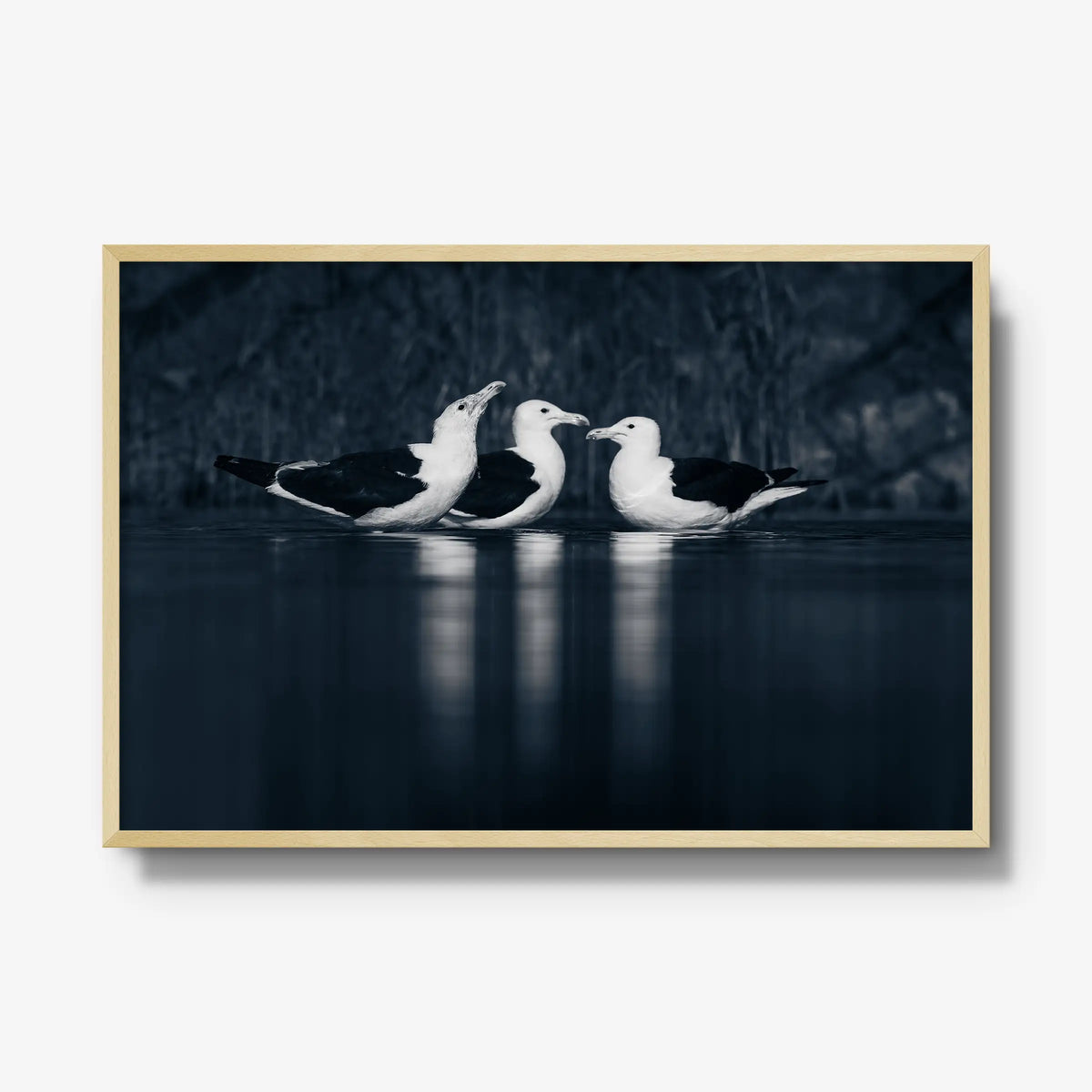Nightwater trio — gallery / natural / full