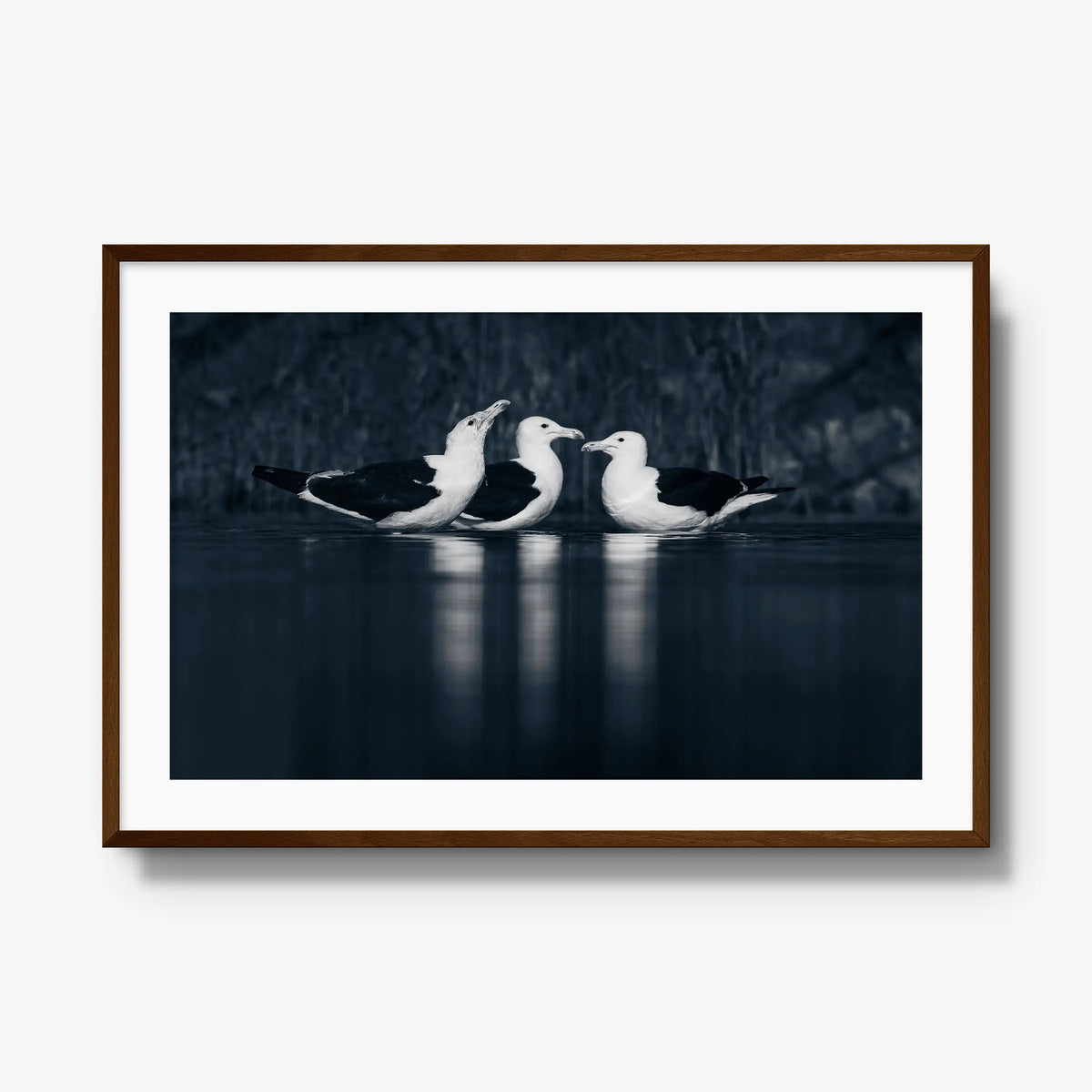 Nightwater trio — gallery / brown / mat