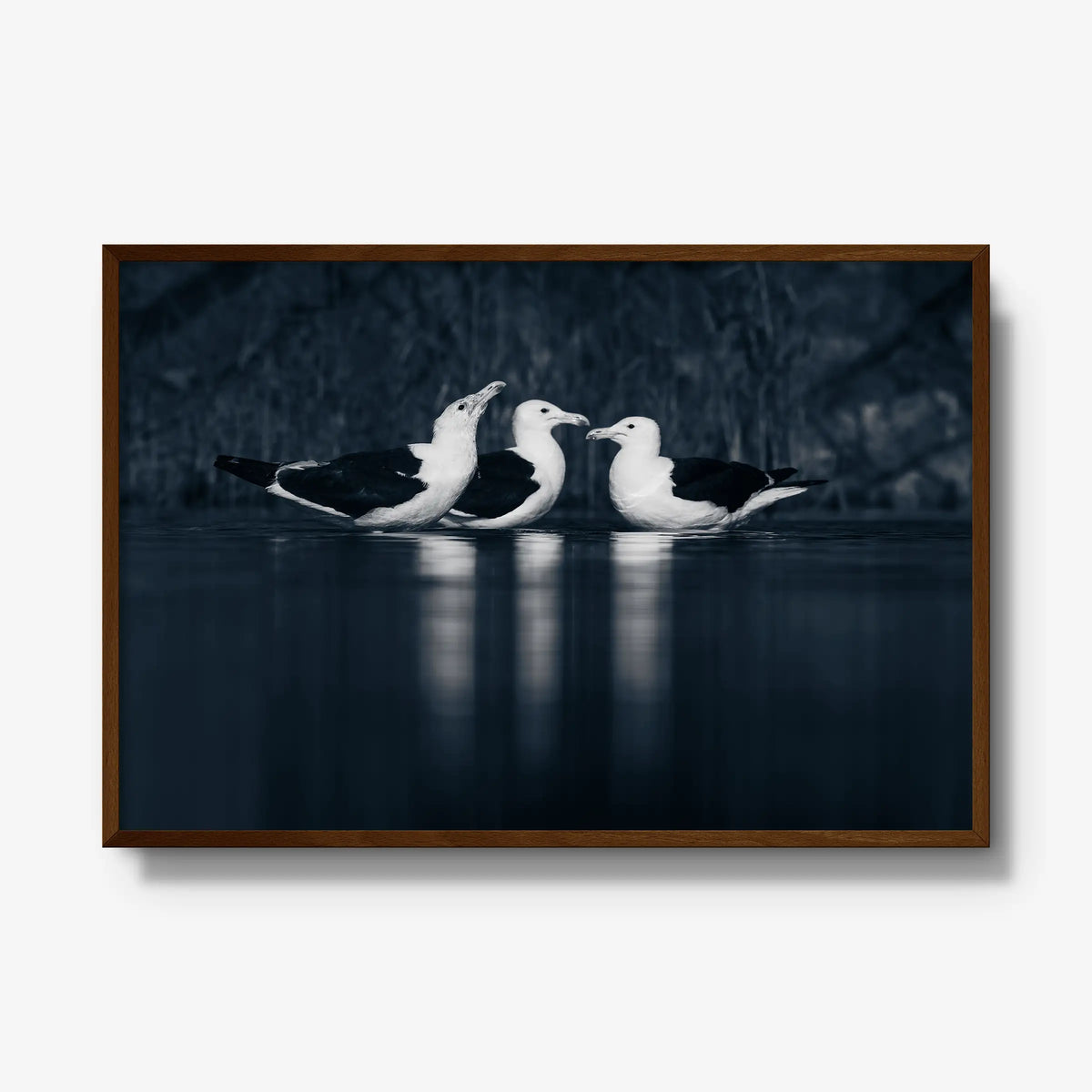 Nightwater trio — gallery / brown / full