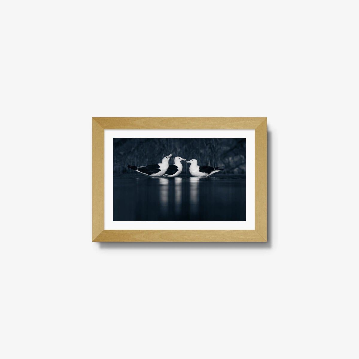 Nightwater trio — mini / natural / mat