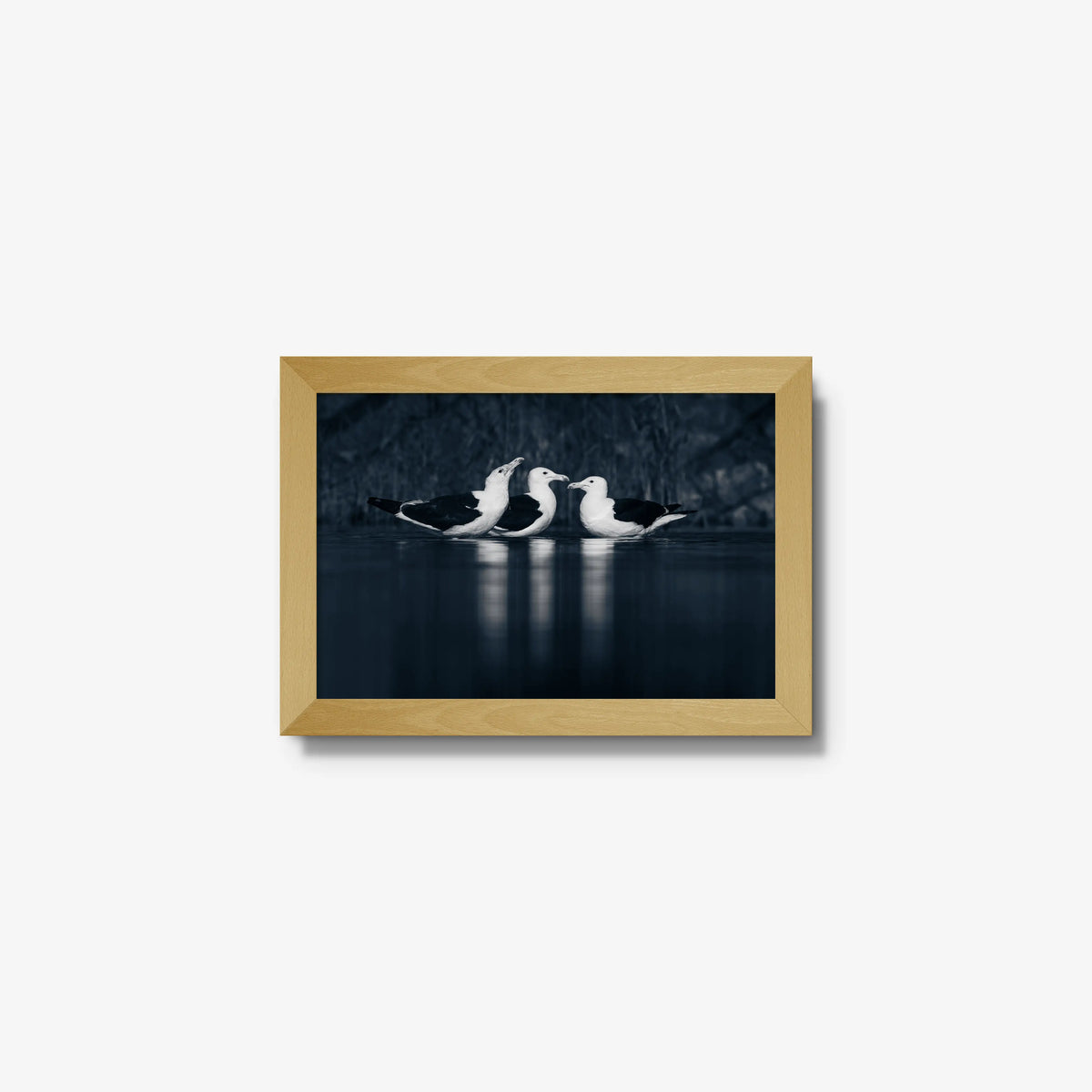 Nightwater trio — mini / natural / full