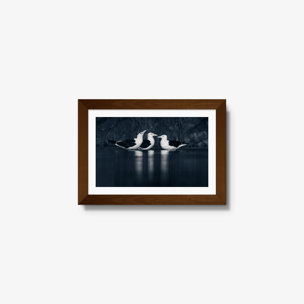 Nightwater trio — mini / brown / mat