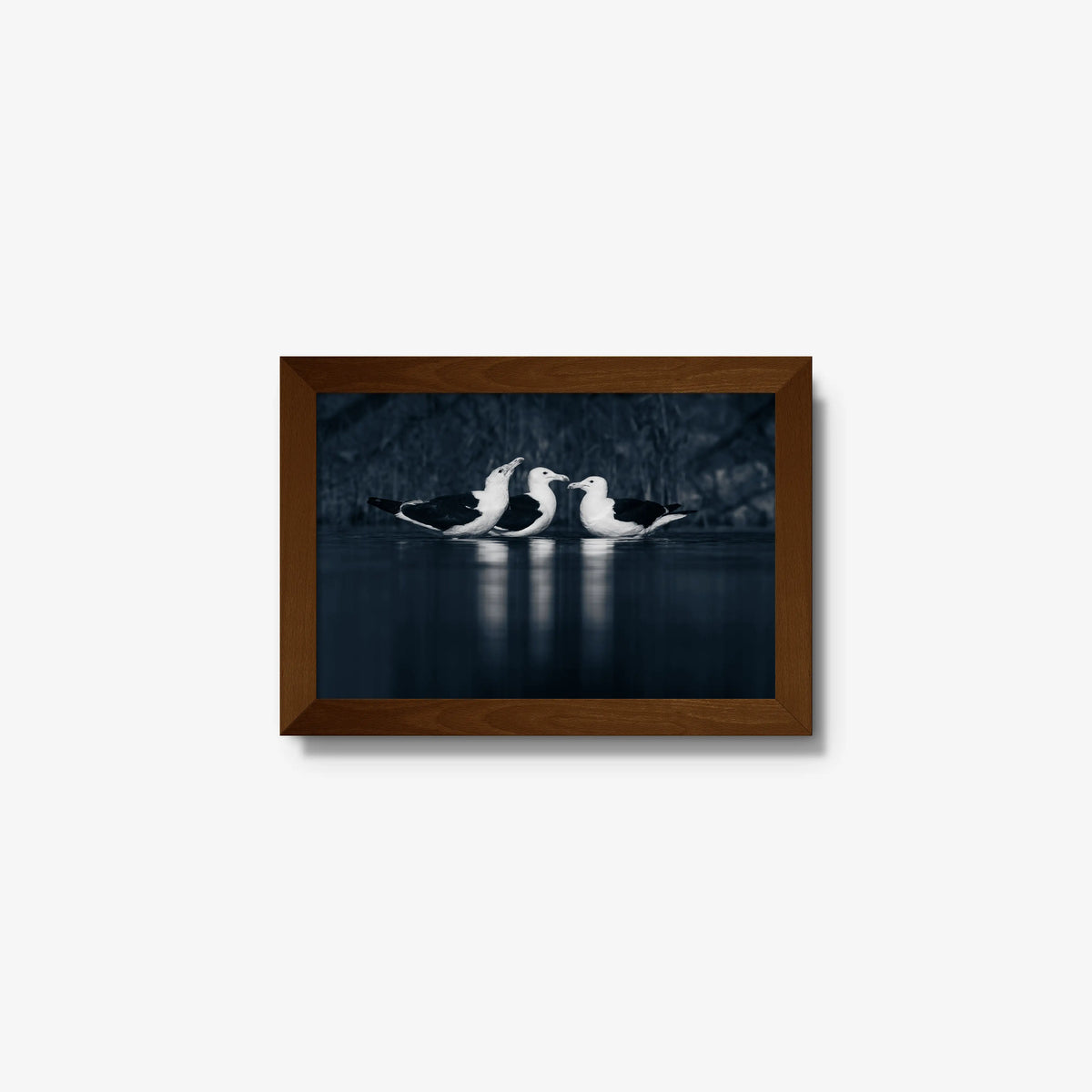 Nightwater trio — mini / brown / full