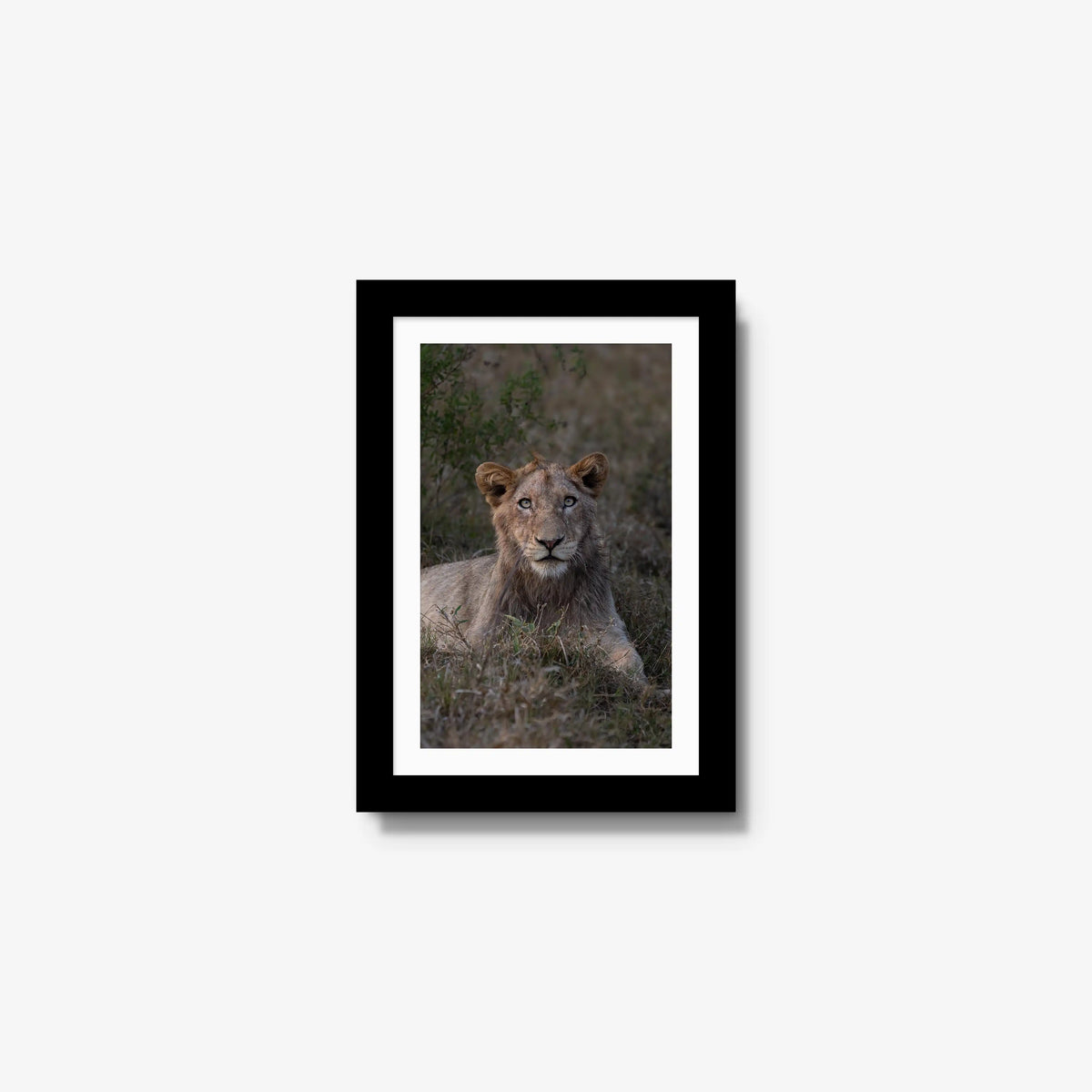 Not Yet a King — mini / black / mat