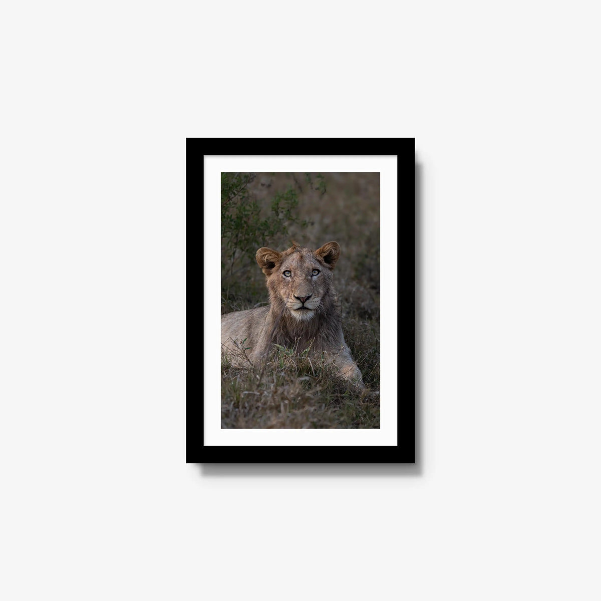 Not Yet a King — small / black / mat