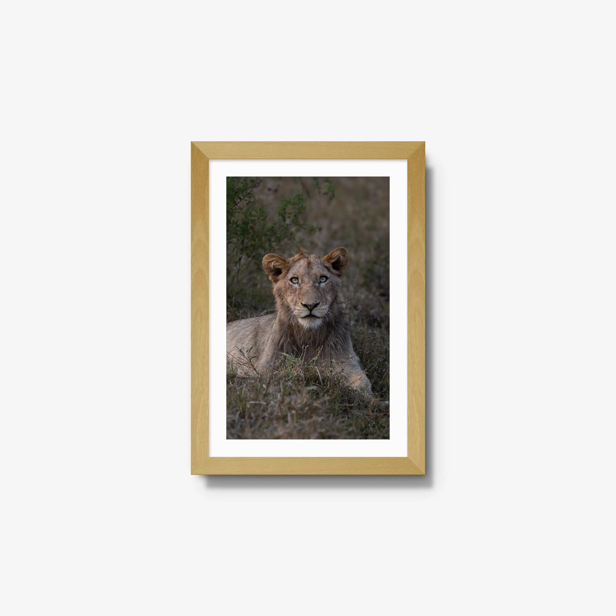 Not Yet a King — small / natural / mat