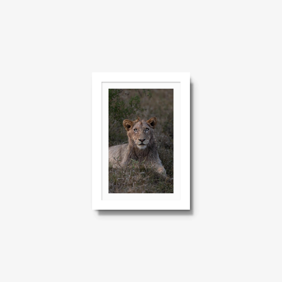 Not Yet a King — mini / white / mat