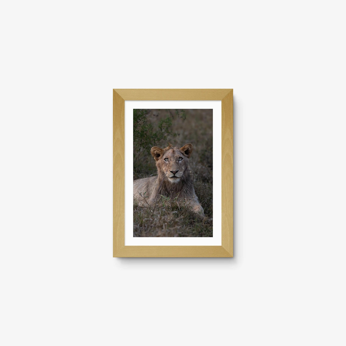 Not Yet a King — mini / natural / mat