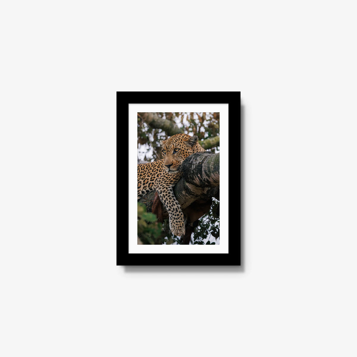 Ntima — mini / black / mat