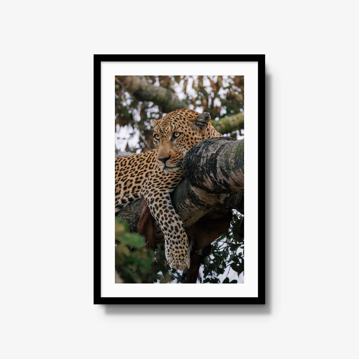 Ntima — large / black / mat