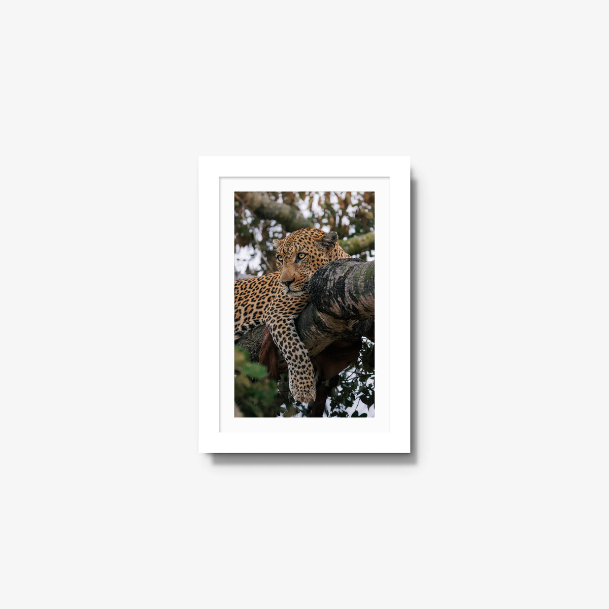 Ntima — mini / white / mat