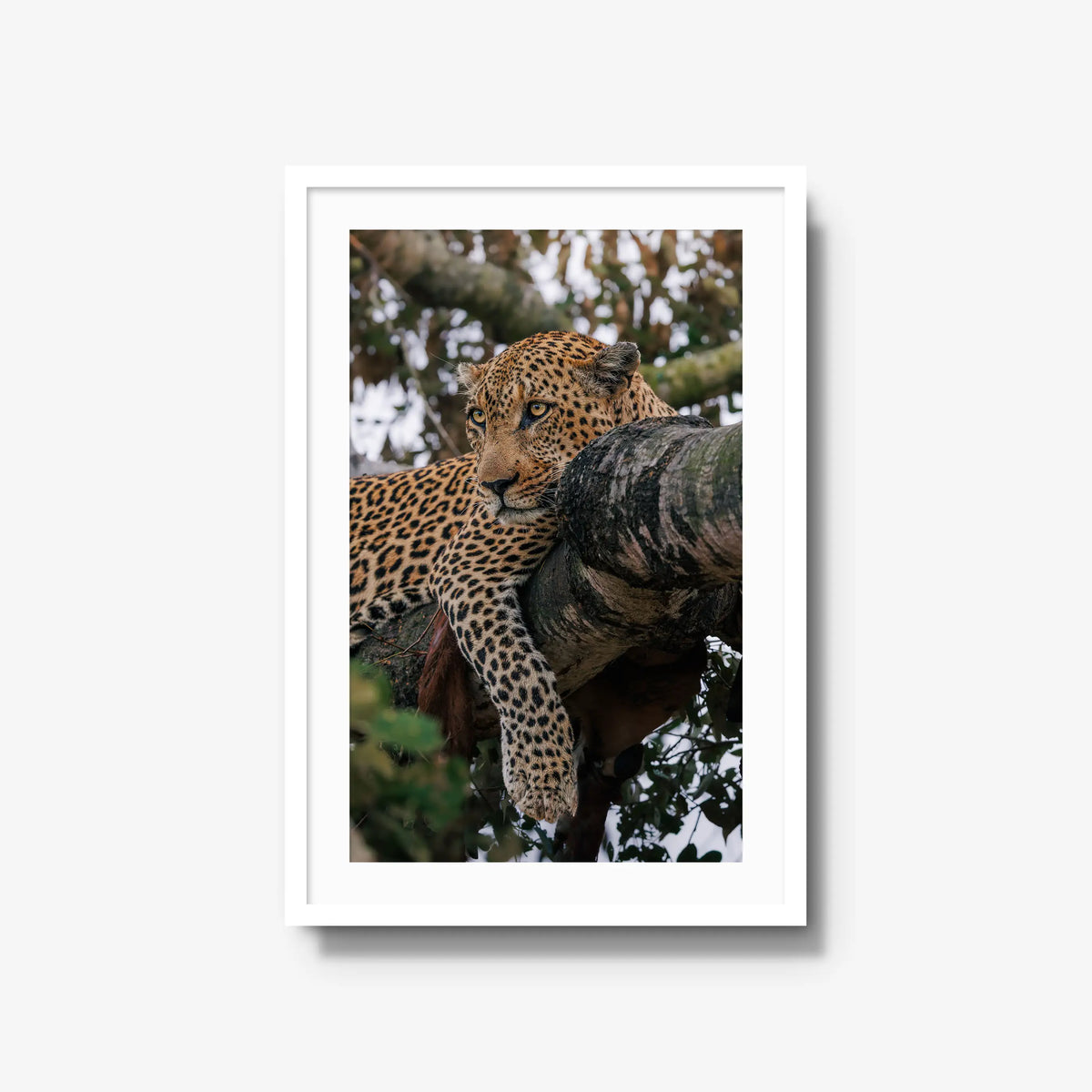 Ntima — large / white / mat