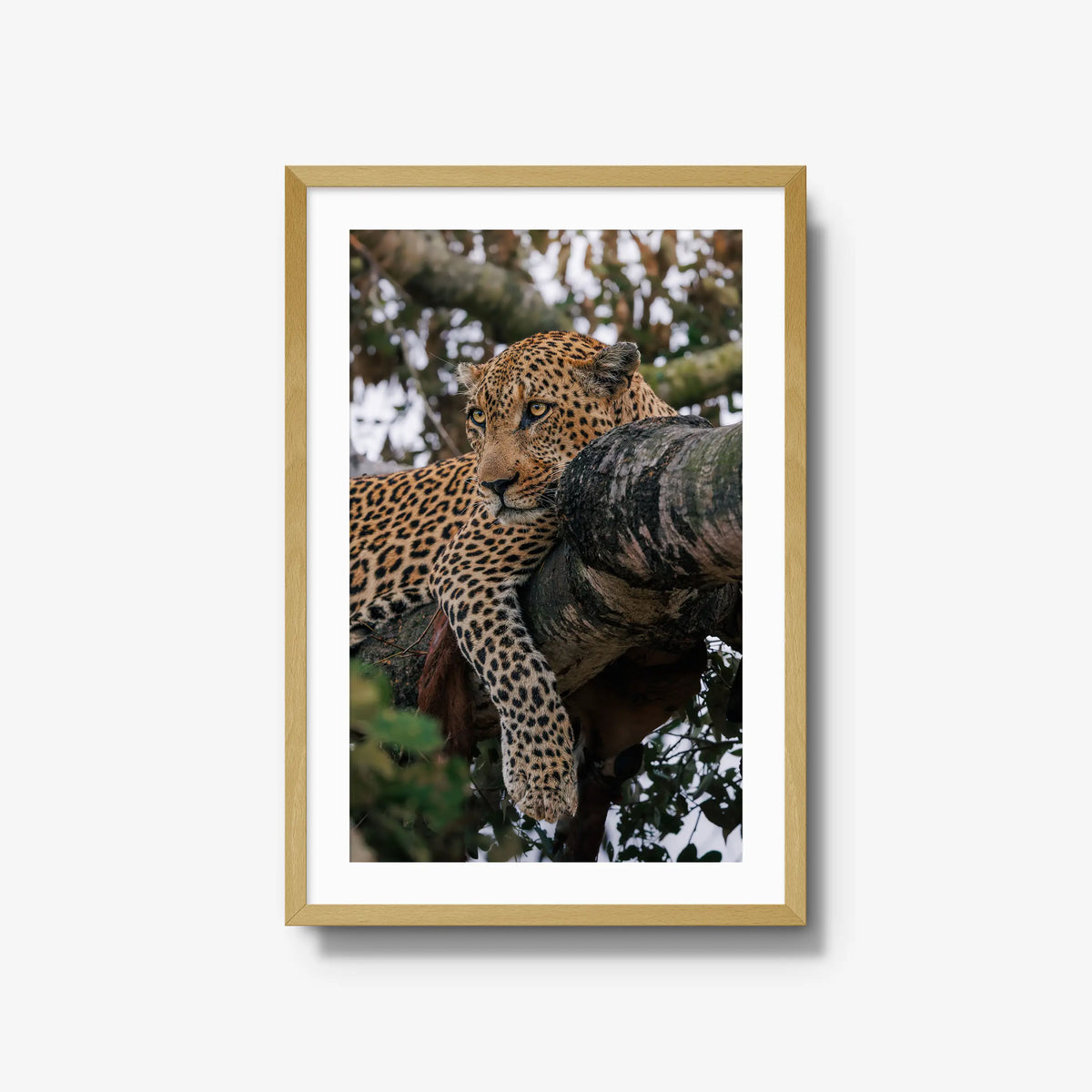 Ntima — large / natural / mat