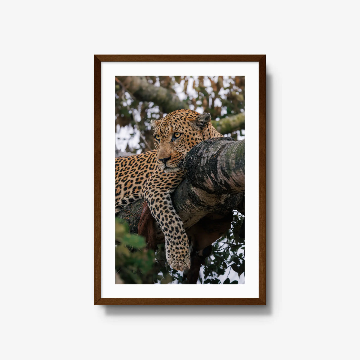 Ntima — large / brown / mat