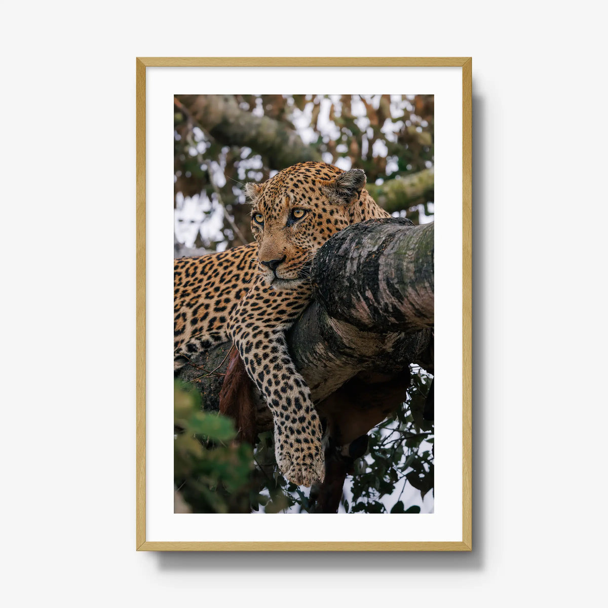 Ntima — gallery / natural / mat