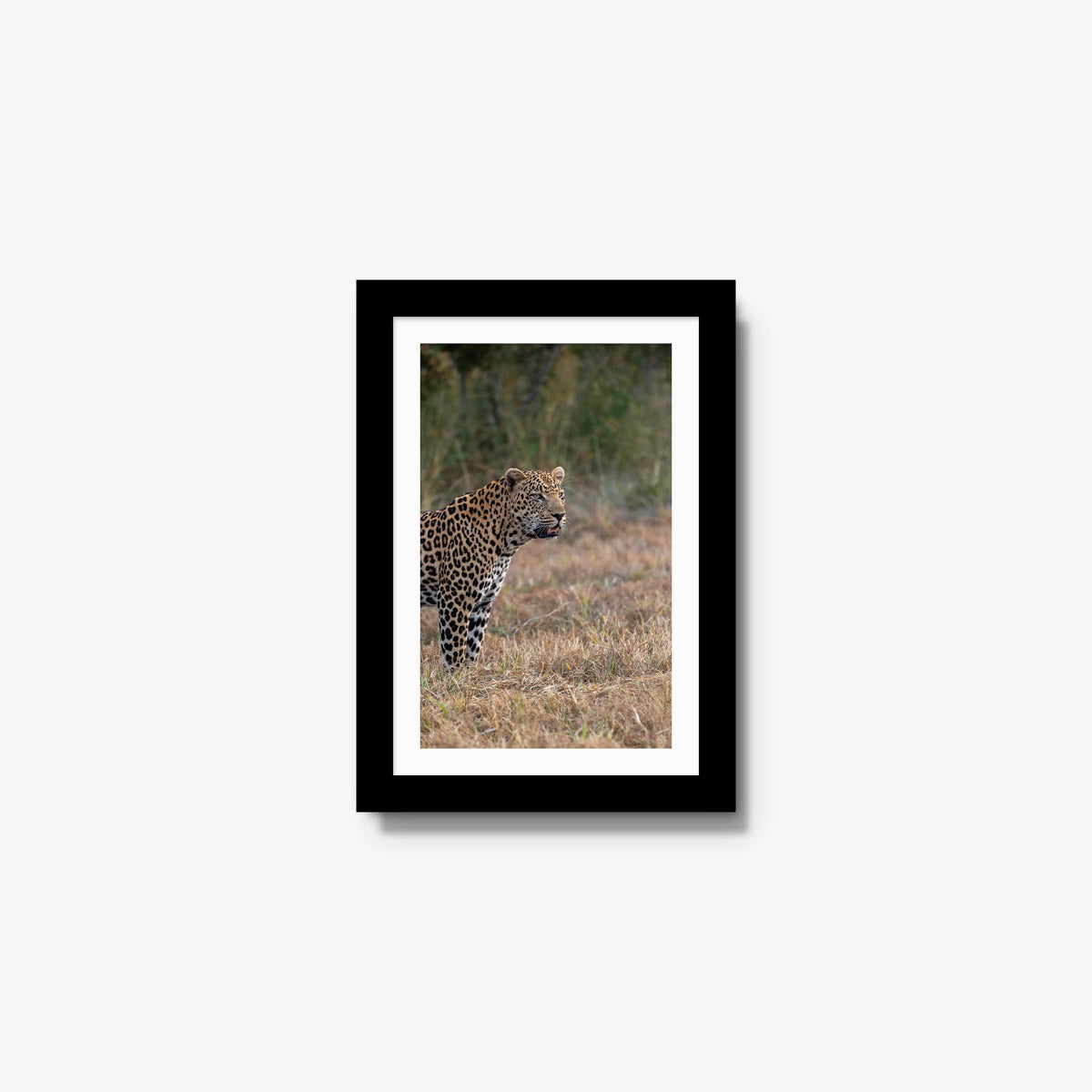 On Alert — mini / black / mat