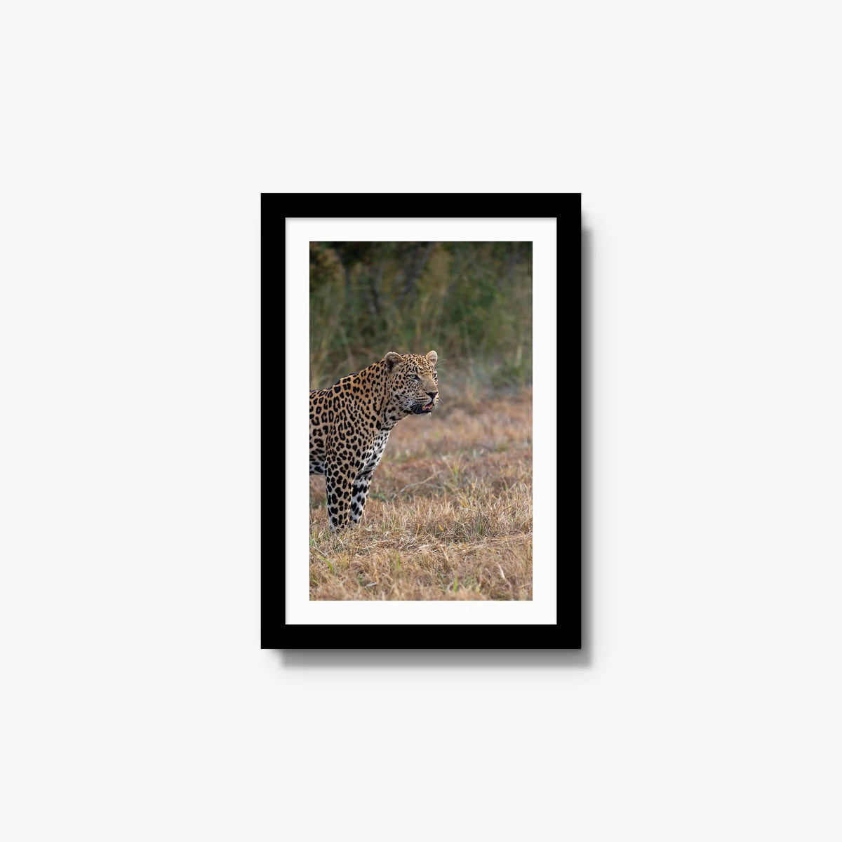 On Alert — small / black / mat