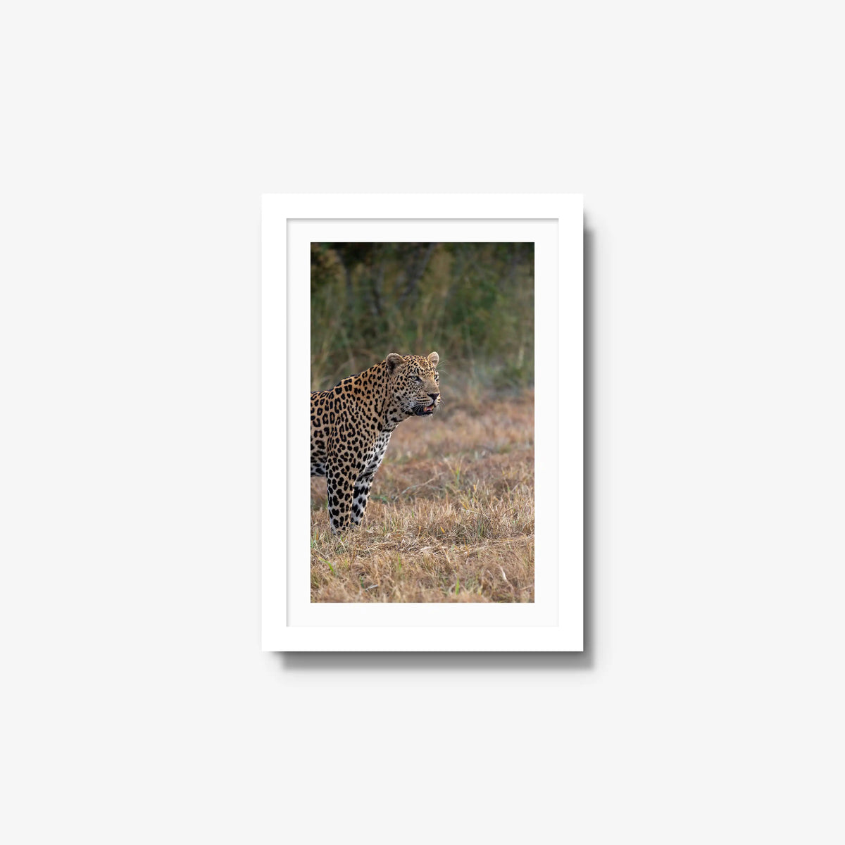 On Alert — small / white / mat