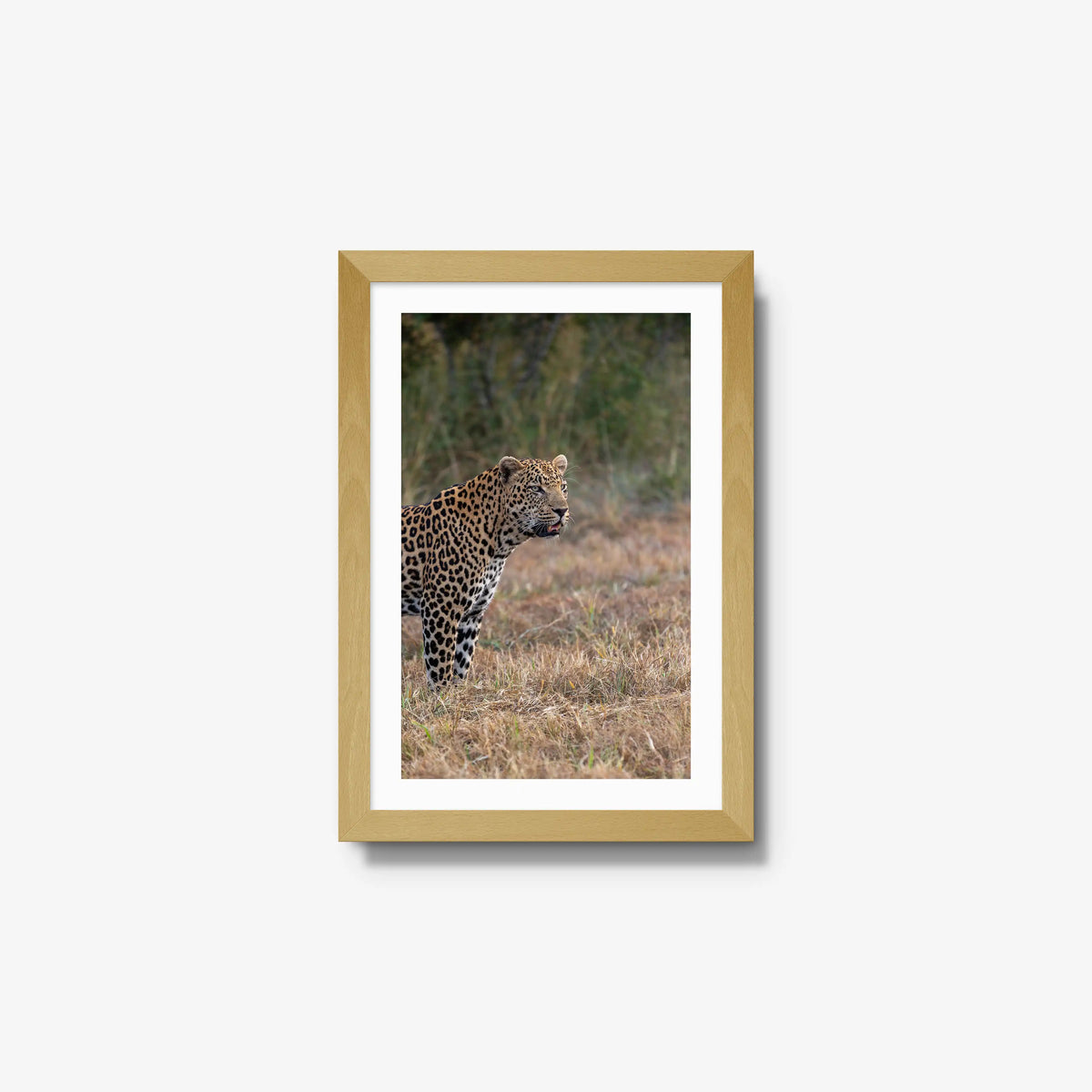 On Alert — small / natural / mat