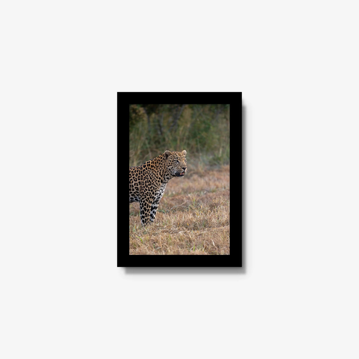 On Alert — mini / black / full