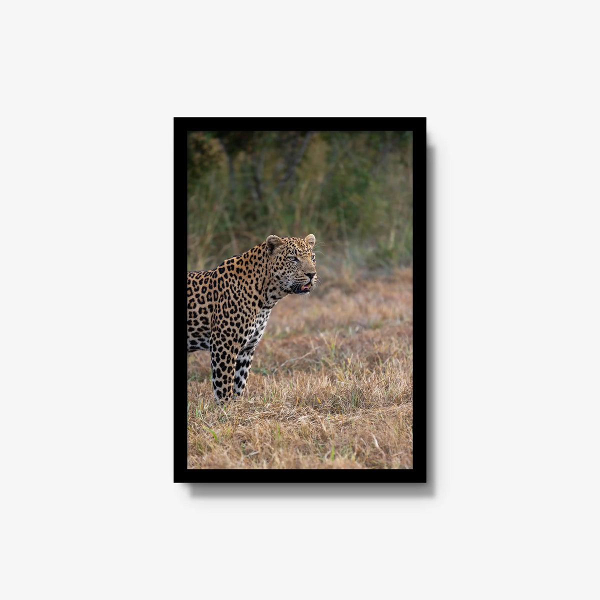 On Alert — medium / black / full