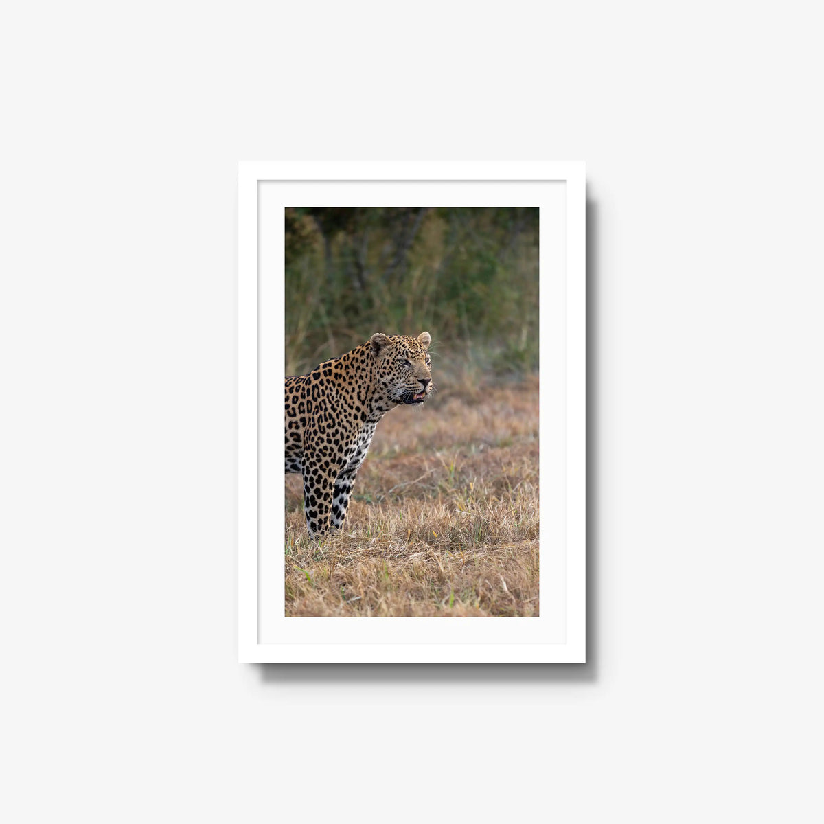 On Alert — medium / white / mat