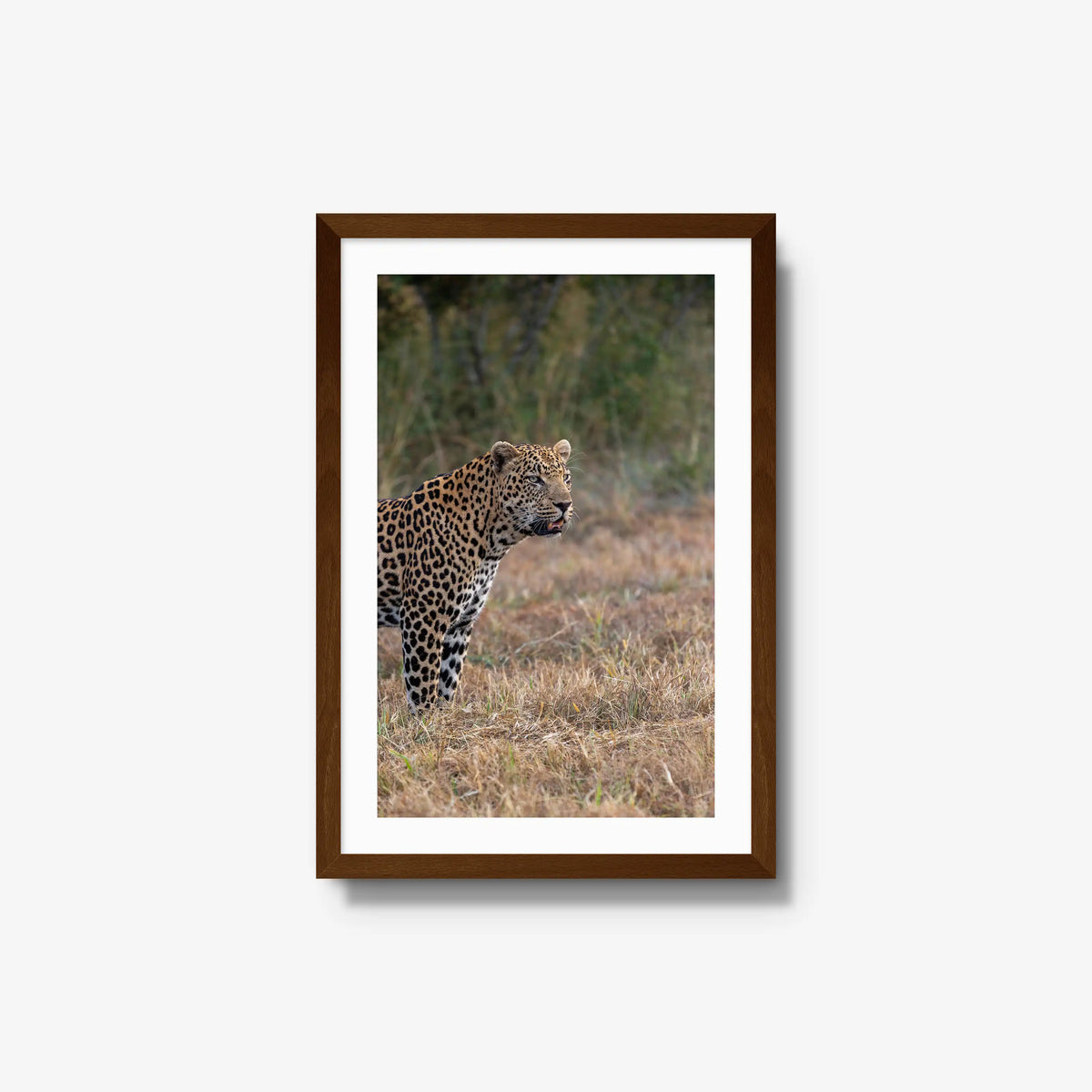 On Alert — medium / brown / mat
