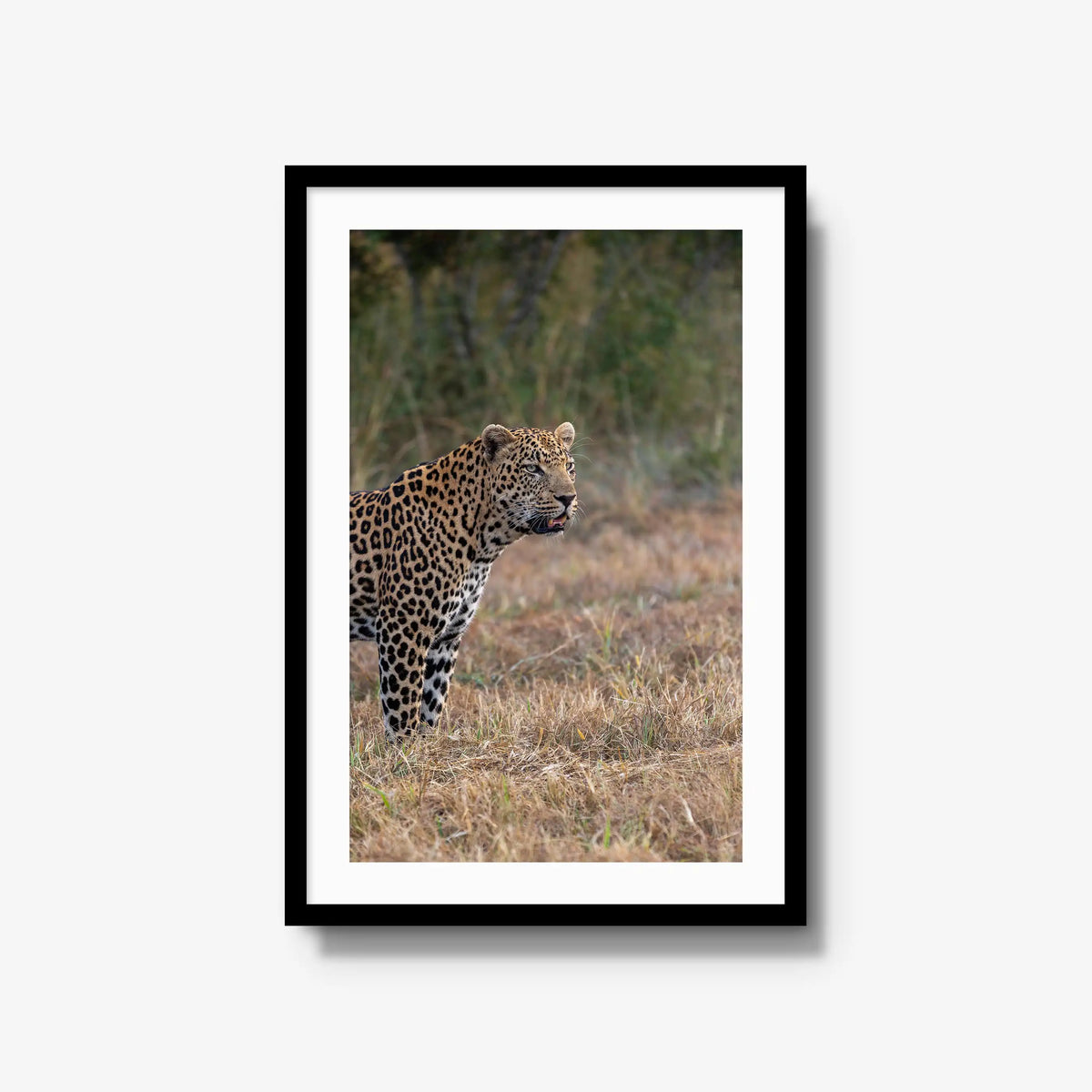 On Alert — large / black / mat