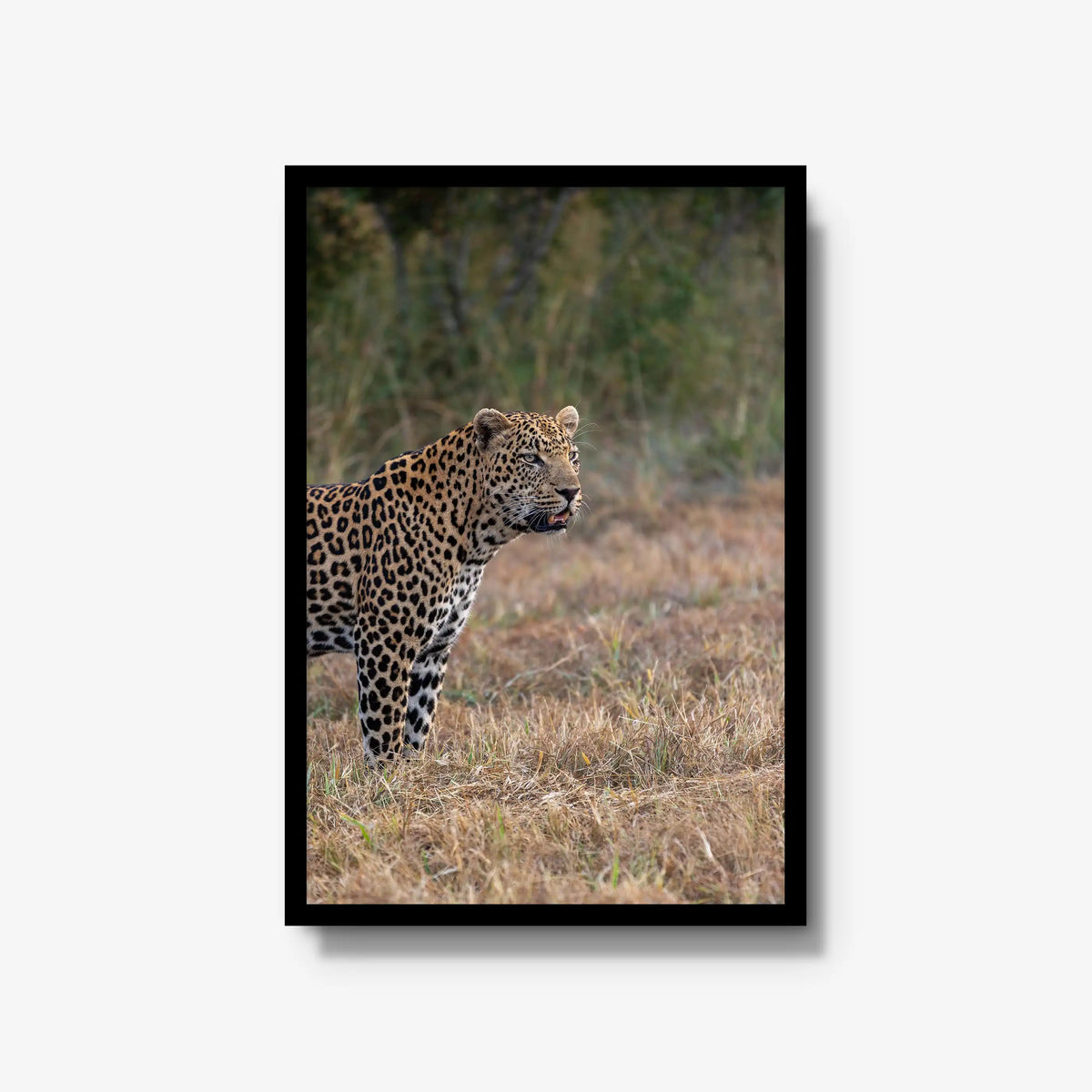On Alert — large / black / full