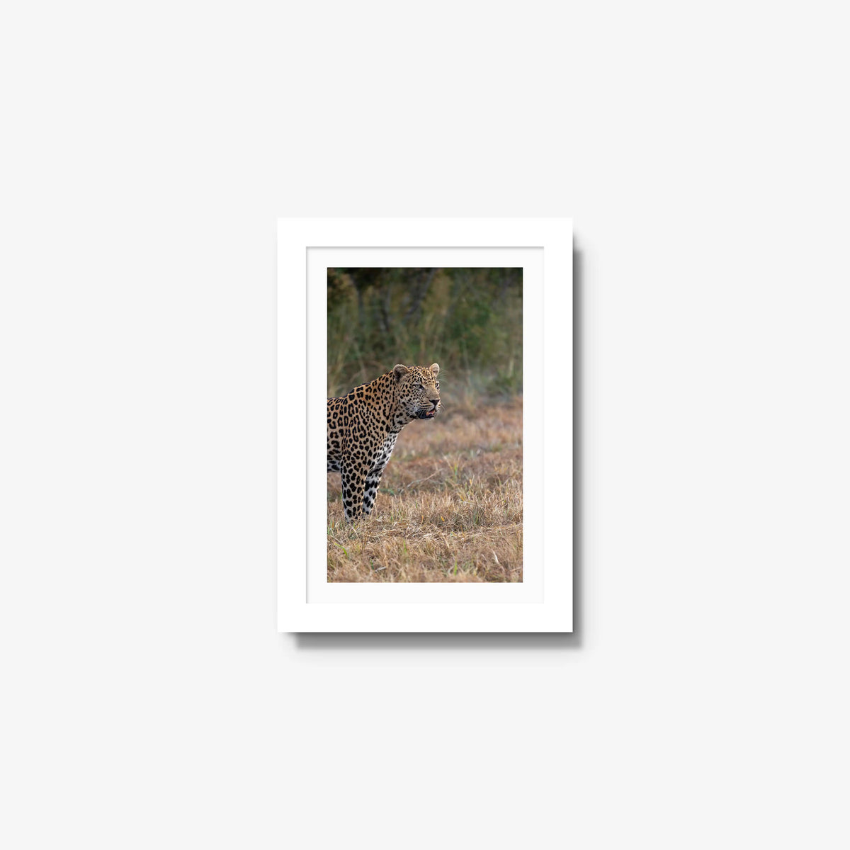 On Alert — mini / white / mat