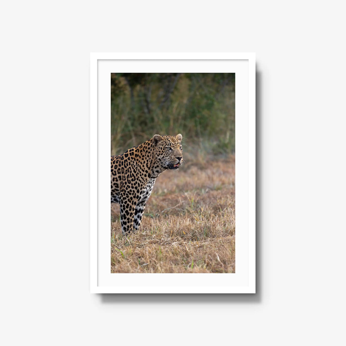 On Alert — large / white / mat