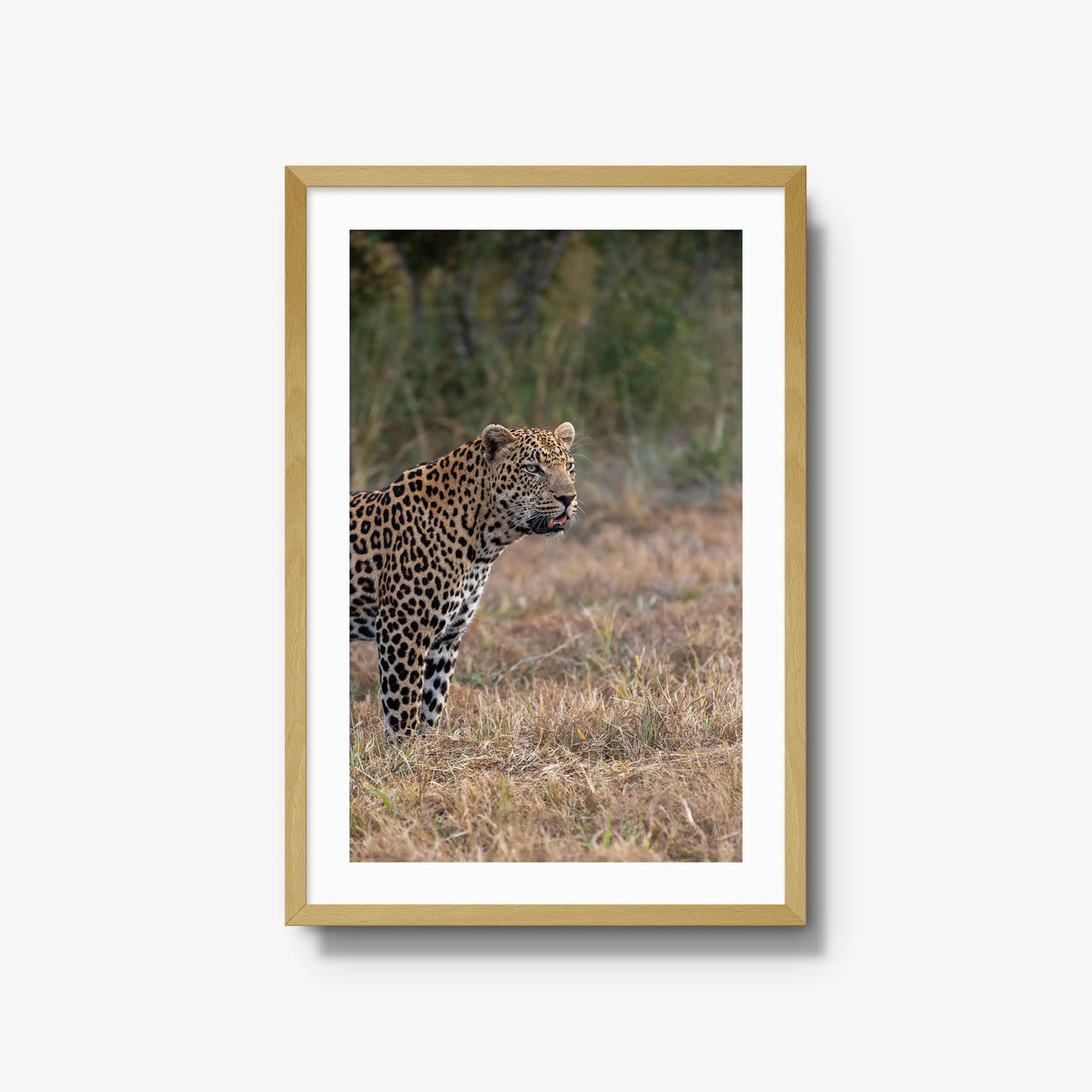 On Alert — large / natural / mat