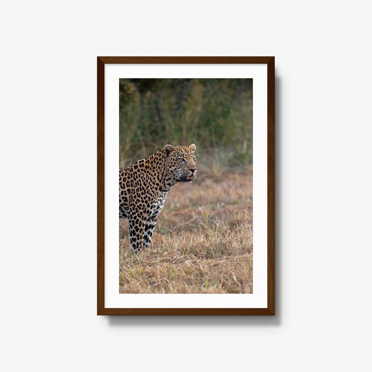On Alert — large / brown / mat