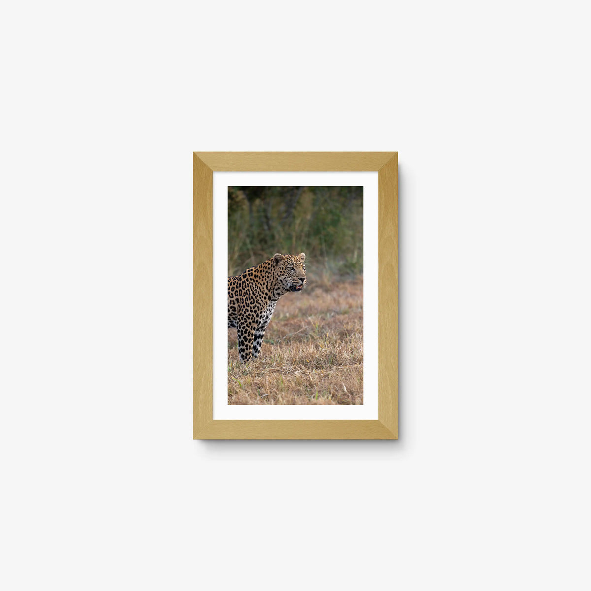 On Alert — mini / natural / mat