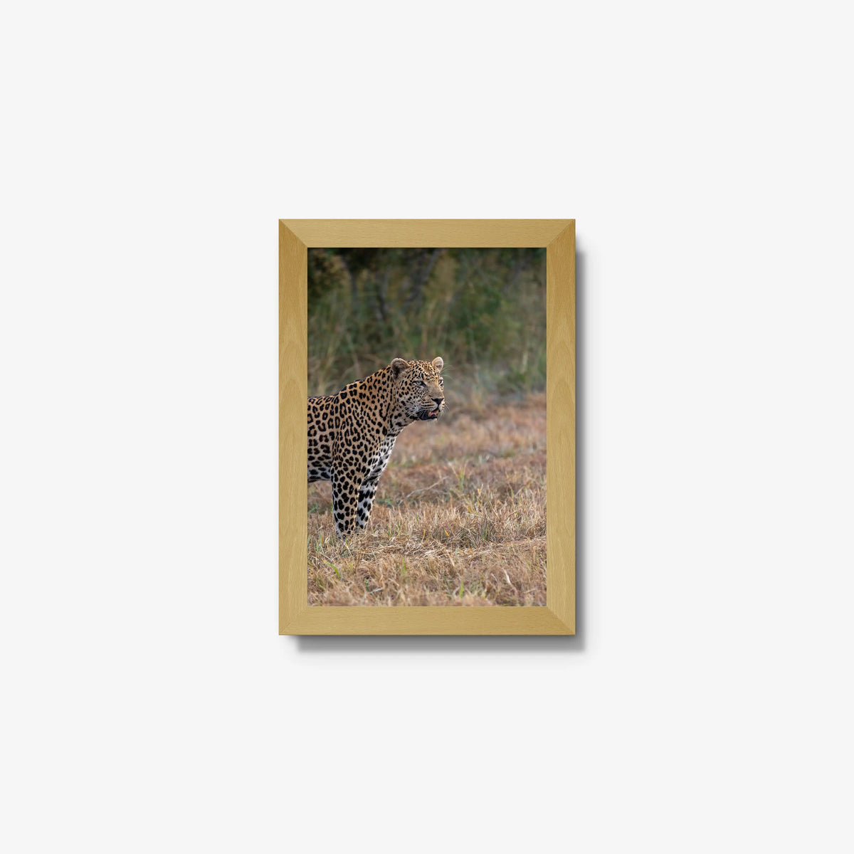 On Alert — mini / natural / full