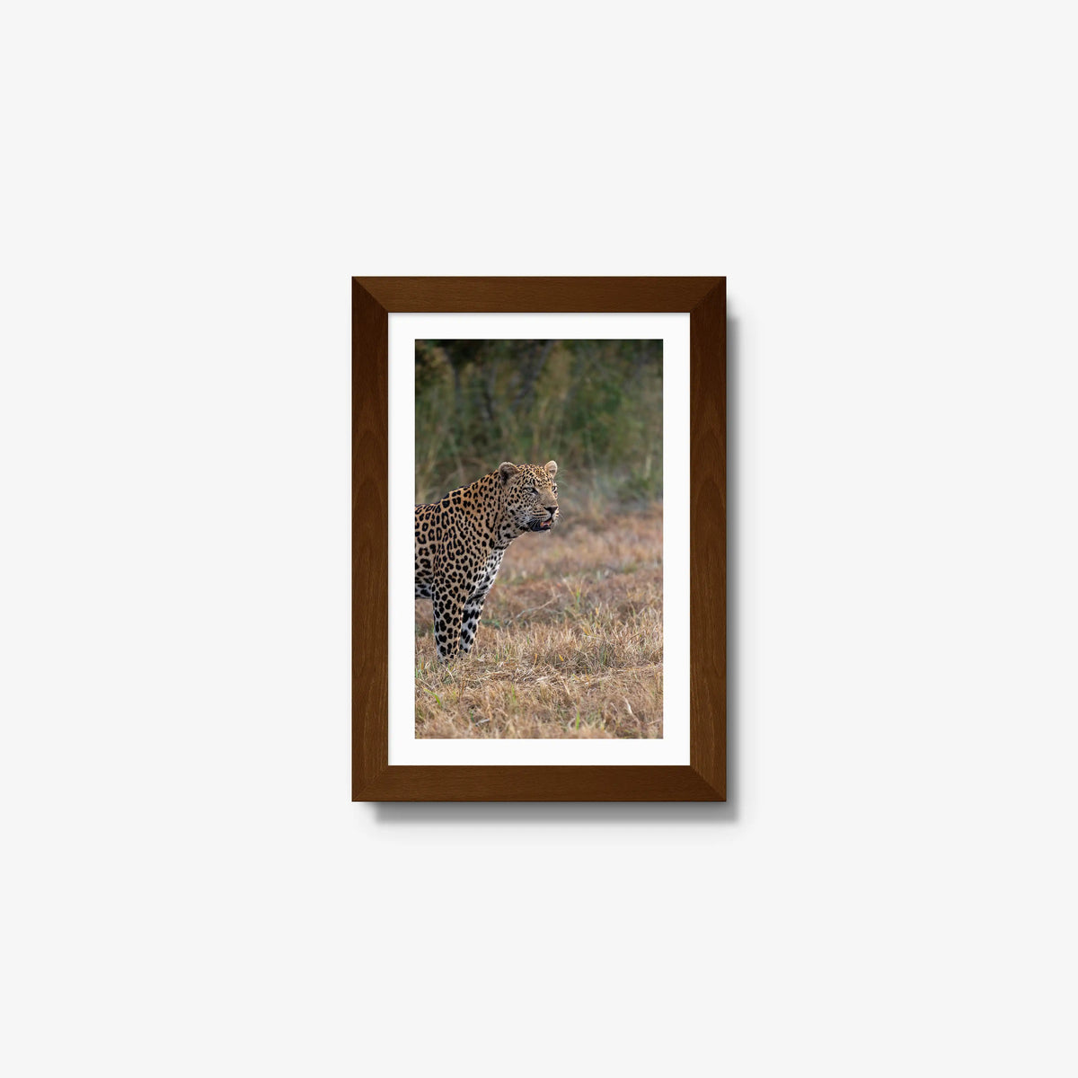 On Alert — mini / brown / mat