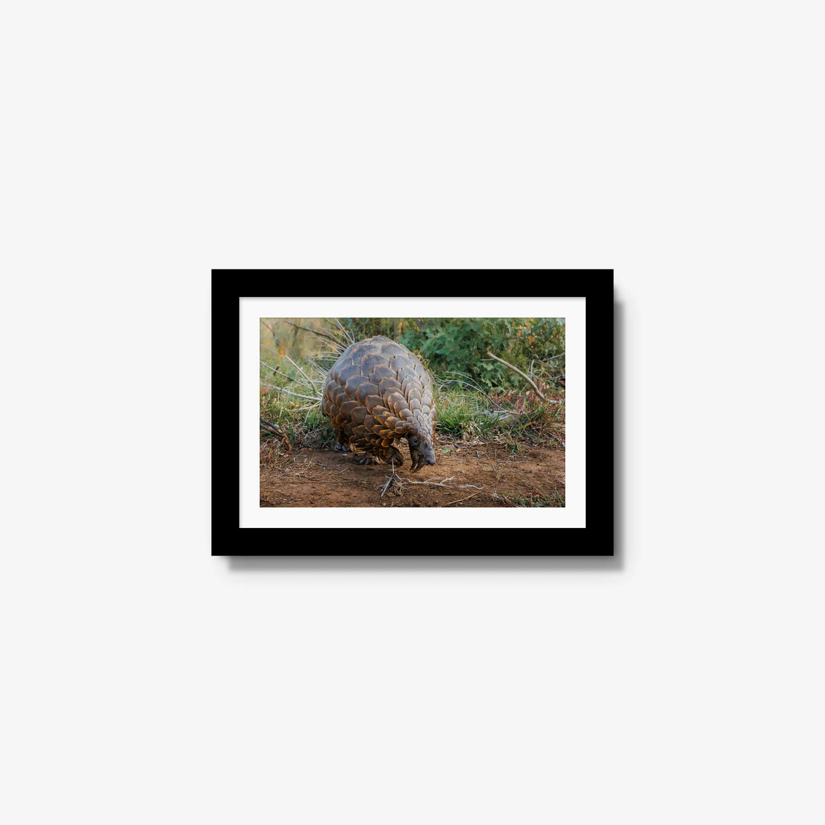 Relic — mini / black / mat