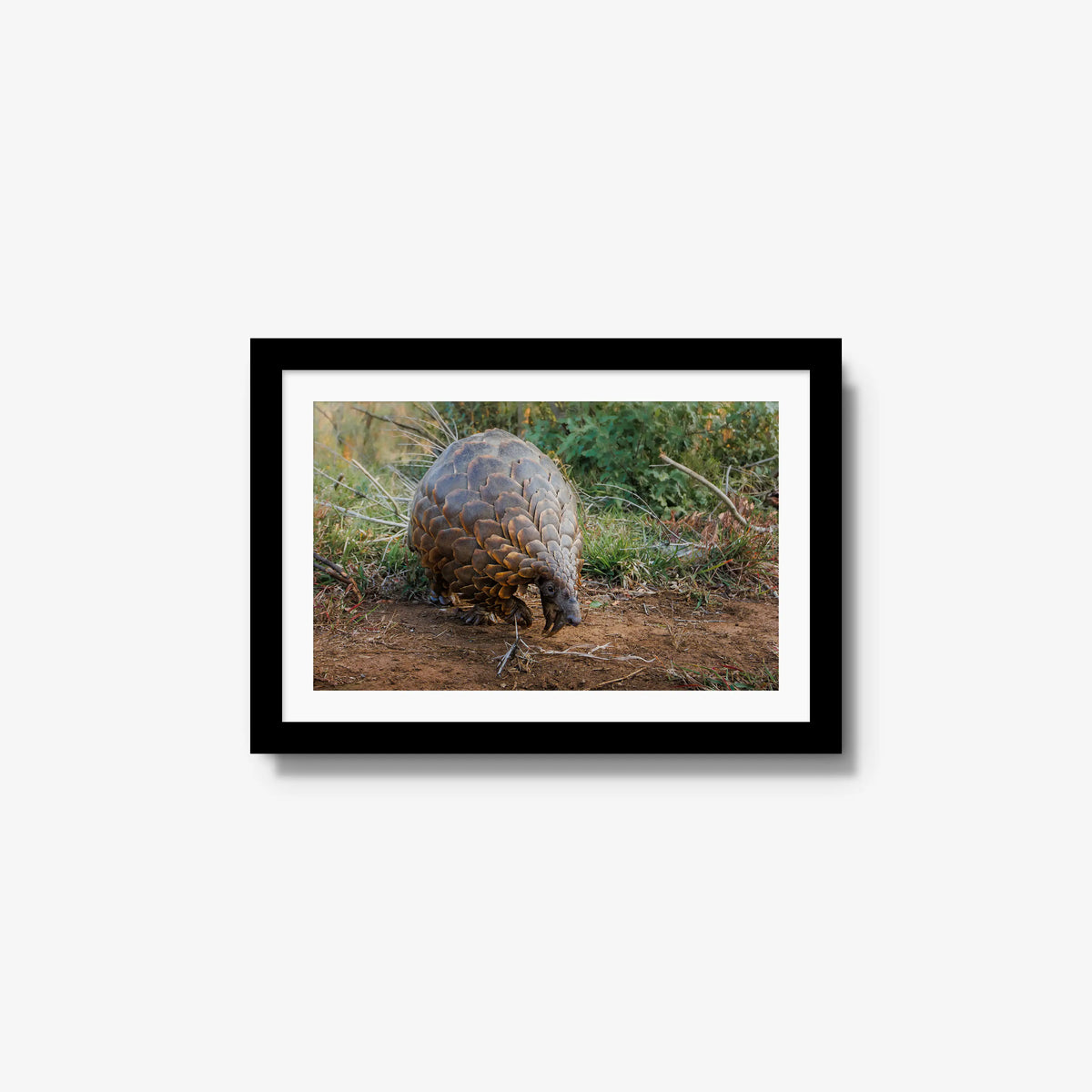 Relic — small / black / mat
