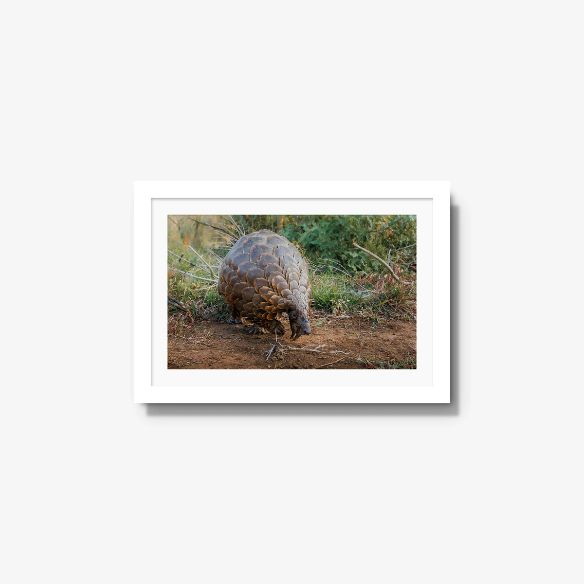 Relic — small / white / mat