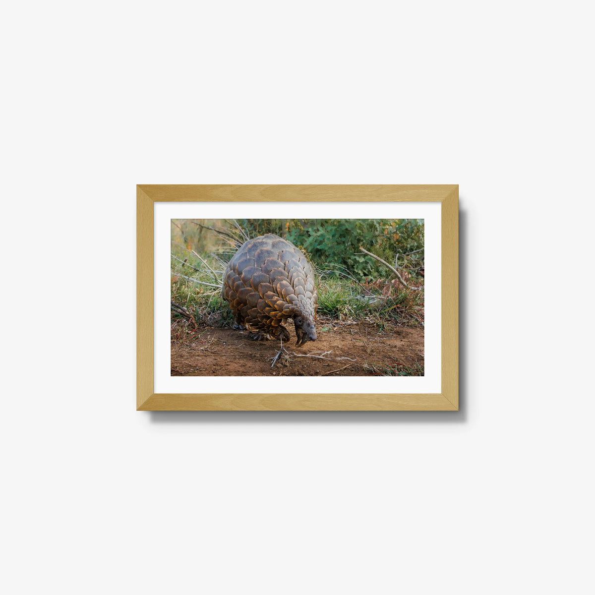 Relic — small / natural / mat