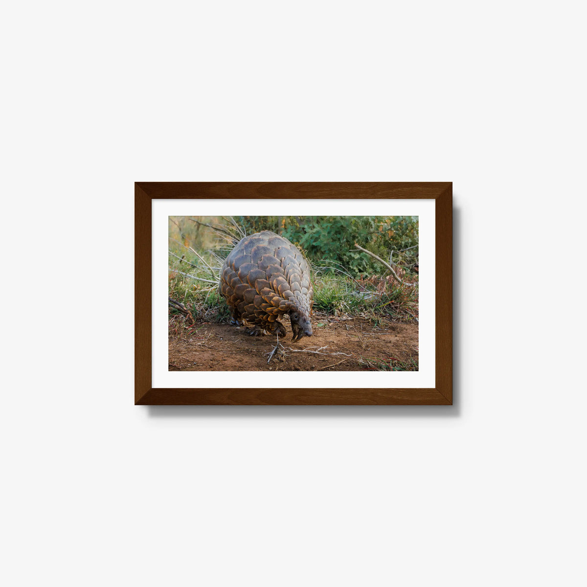 Relic — small / brown / mat