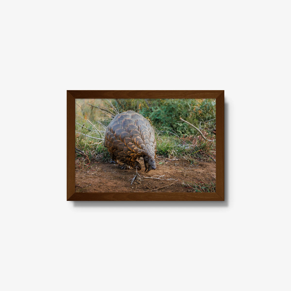 Relic — small / brown / full