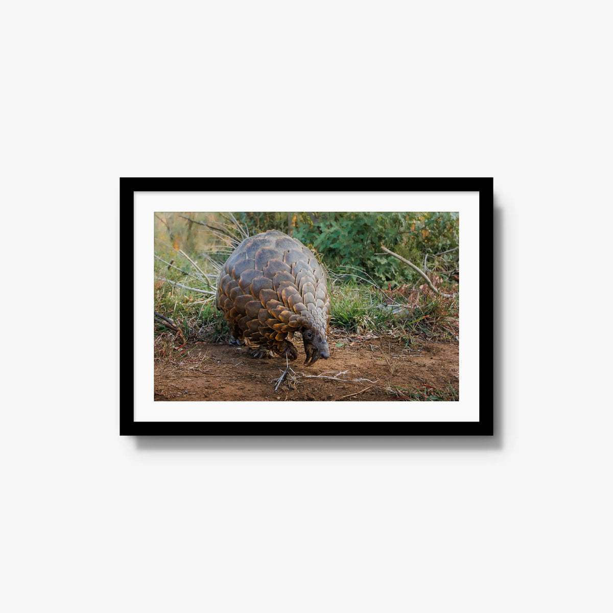 Relic — medium / black / mat