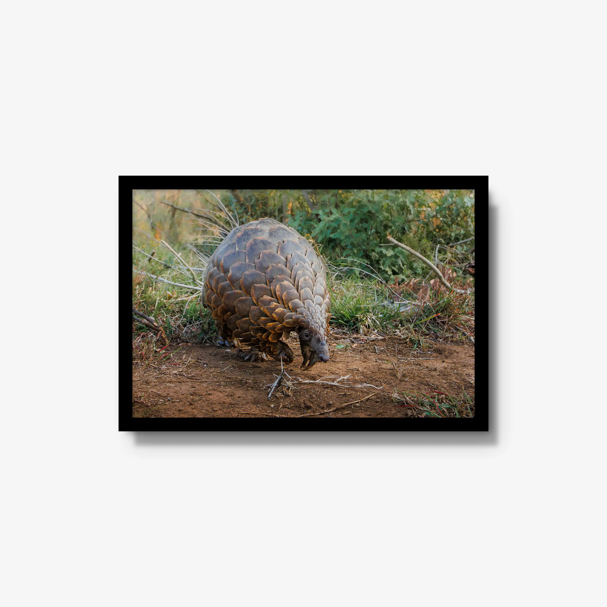 Relic — medium / black / full