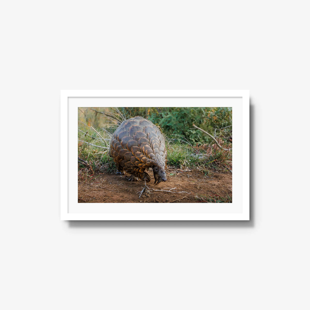 Relic — medium / white / mat