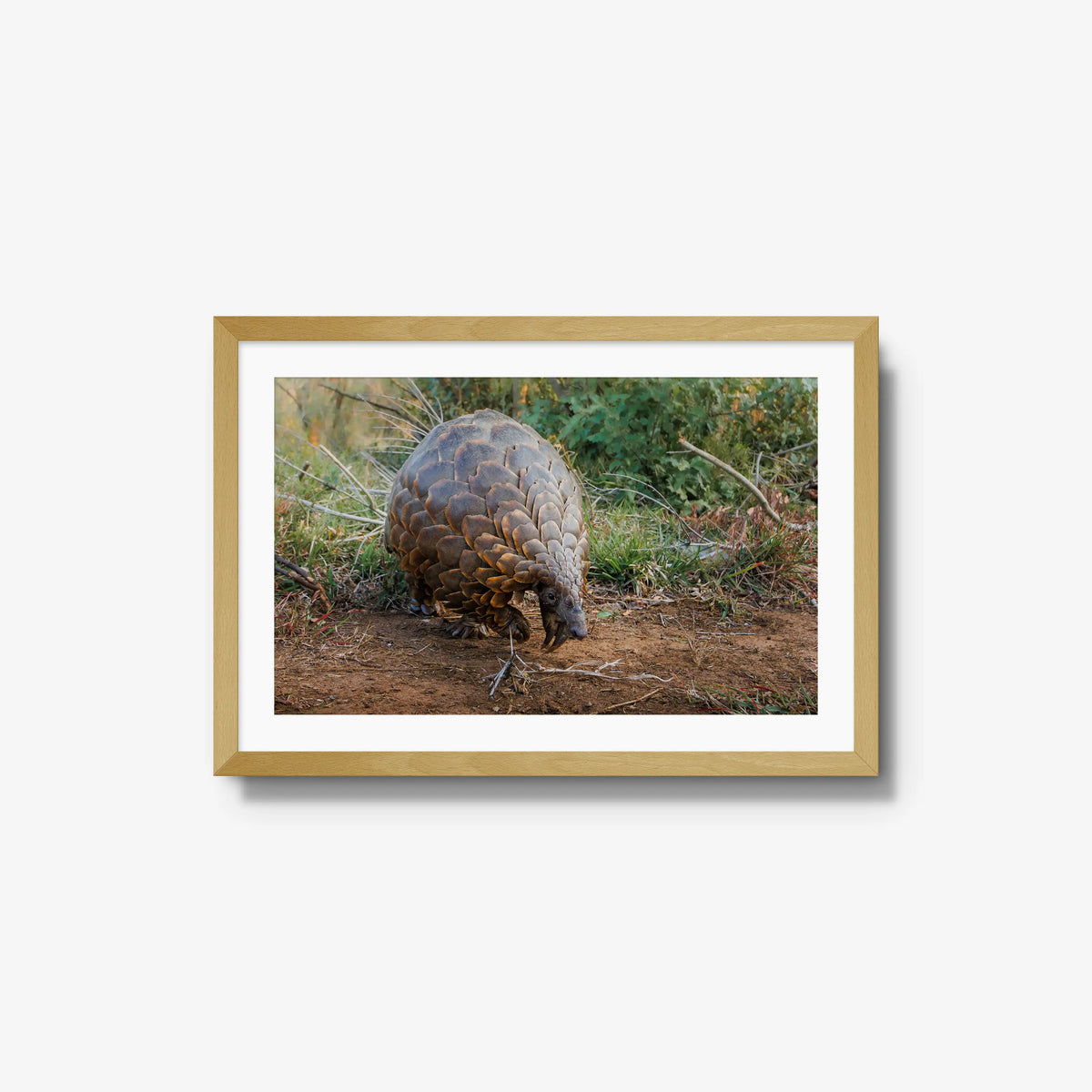 Relic — medium / natural / mat