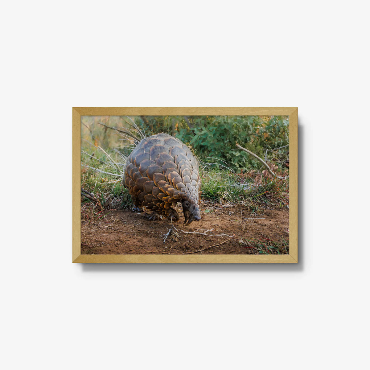 Relic — medium / natural / full
