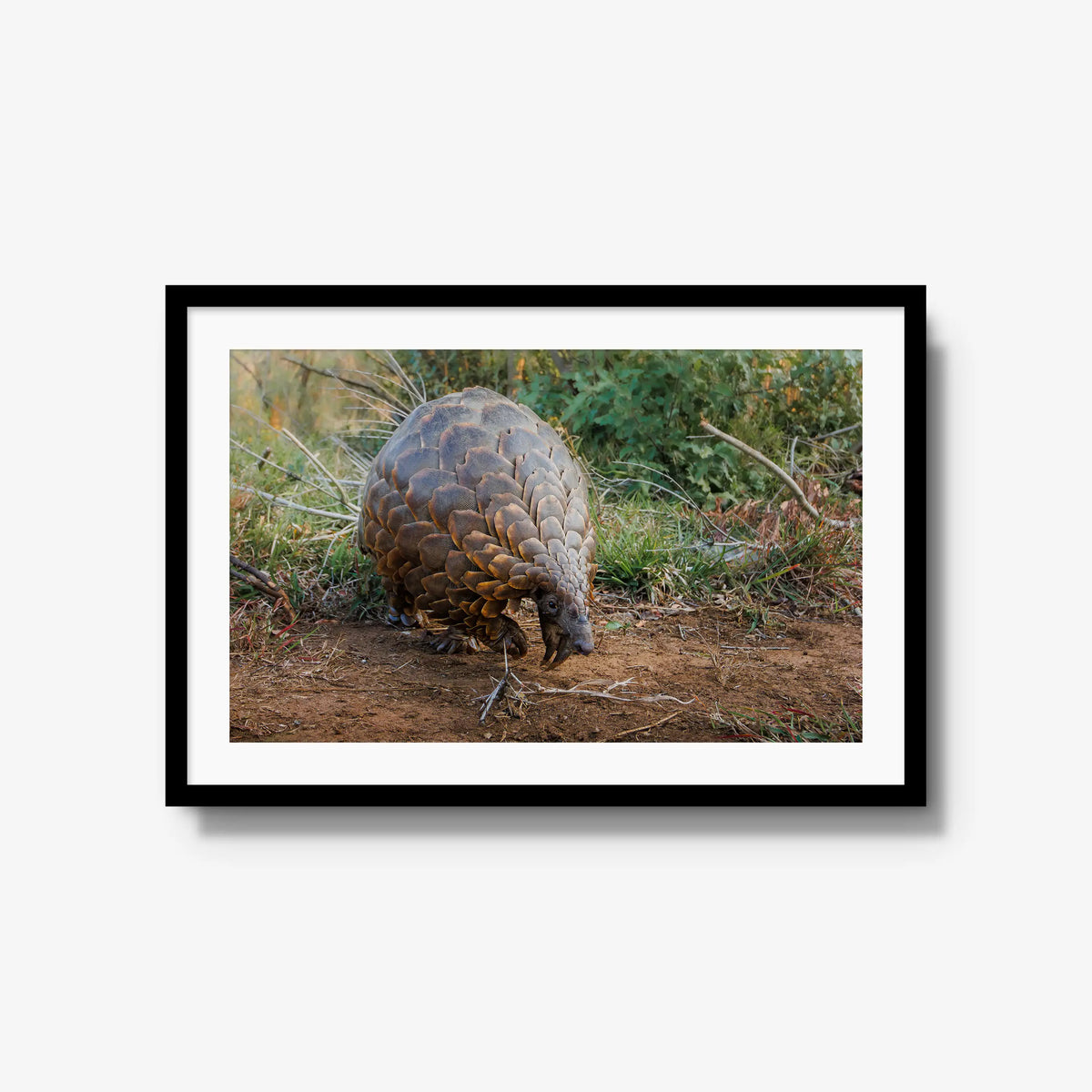 Relic — large / black / mat